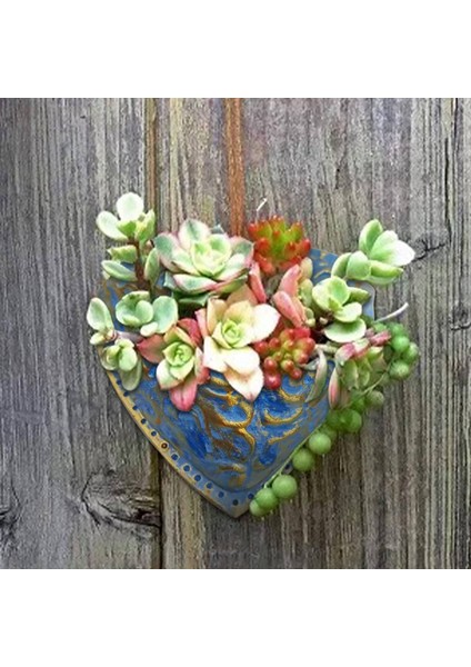 Kalp Şeklinde Etli Reçine Saksı Dikim Etli Ekici Reçine Aşk Cep Asılı Etli Tencere A (Yurt Dışından) indirimleri