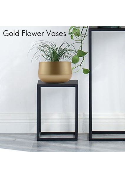 2 Adet Çiçek Vazolar Masa Altın Vazolar Düğün Masa Ekici Saksı Drenaj Deliği ile Ev Dekor Bahçe Için, M (Yurt Dışından) indirimleri