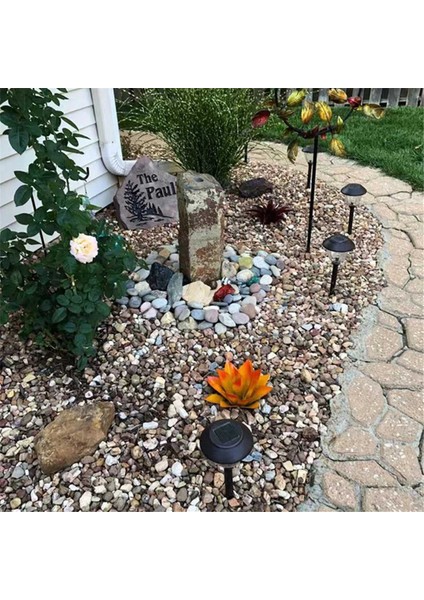 Rustik El Boyalı Metal Agav, Rustik Heykel, Dıy Agave Bitki Ev Dekor Agave Bahçe Süsleri Mor (Yurt Dışından) indirimleri