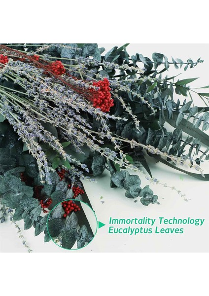 Duş Için 120 Adet Kurutulmuş Okaliptüs, Ev Dekorasyonu Için Saplı Okaliptüs, 17 Inç Duş Okaliptüs Asılı (Yurt Dışından) fiyatları