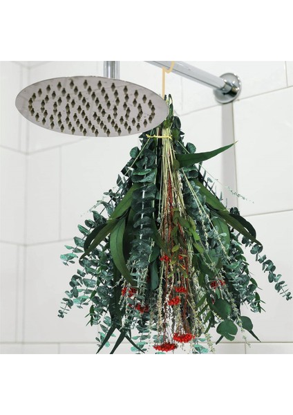 Duş Için 120 Adet Kurutulmuş Okaliptüs, Ev Dekorasyonu Için Saplı Okaliptüs, 17 Inç Duş Okaliptüs Asılı (Yurt Dışından) modelleri