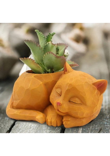 Sevimli Tembel Saksı Masaüstü Etli Ekici Dekorasyon Succulents Mini Kaktüsler Otlar Için Pratik ve Güzel (Yurt Dışından) fiyatları