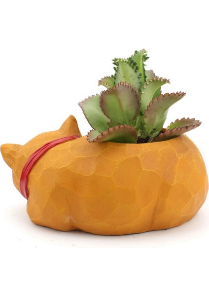 Sevimli Tembel Saksı Masaüstü Etli Ekici Dekorasyon Succulents Mini Kaktüsler Otlar Için Pratik ve Güzel (Yurt Dışından) fırsatları