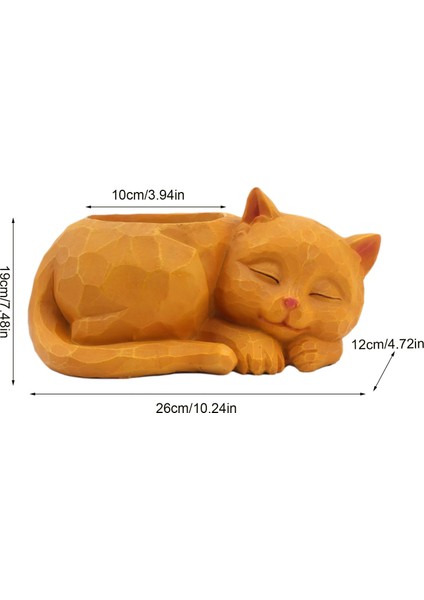 Sevimli Tembel Saksı Masaüstü Etli Ekici Dekorasyon Succulents Mini Kaktüsler Otlar Için Pratik ve Güzel (Yurt Dışından) indirimleri