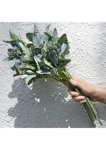 Düğün Çiçeği Dolguları Için Tozlu Yapay Yeşillik Bitkileri Dıy Buketleri ve Çiçek Düzenlemeleri (Yurt Dışından) fırsatları