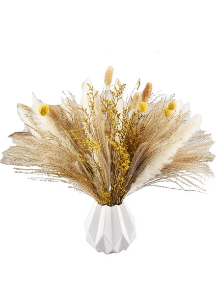 Pampas Çim Dekoru 65 Adet 17,5 Inç Doğal Kurutulmuş Pampas Bitkileri - Kurutulmuş Çiçekler ve Beyaz Pampa ve Doğal Kamış Otu (Yurt Dışından)