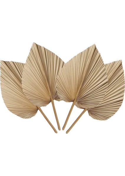 4 Parça Doğal Kurutulmuş Palmiye Yaprakları Palmiye Yaprağı Dekoru, Boho Dekoru, Ev Dekorasyonu, Düğün Için Mükemmeldir (Yurt Dışından)