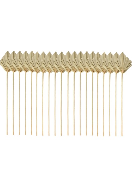 20PCS Boho Kurutulmuş Palm Spears Küçük Doğal Kurutulmuş Palmiye Fanları Dekor Yaprakları (Yurt Dışından)