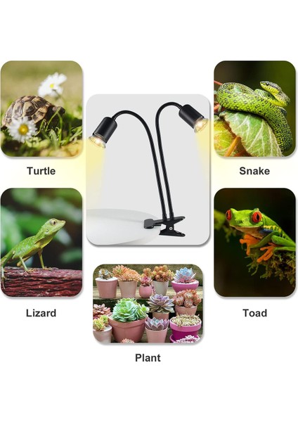 Sürüngen Isı Lambası, Kelepçeli Çift Kafalı Isı Lambası, Kaplumbağa Için Döngü Zamanlayıcılı Sürüngen Işığı, Sakallı Ejderha Ab Fişi (Yurt Dışından) fırsatları