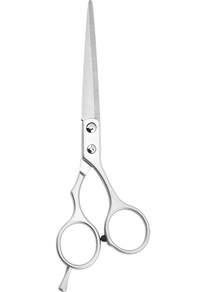 3 Parça 6 Inç 16.5 cm Profesyonel Berber Kuaför Saç Bıyık Makas Set Düz Makas Jiletli Tarak Taraklar modelleri