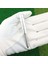 Golf Kulübü Için Taşınabilir Golf Aksesuarları (Yurt Dışından) 2