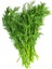 Yaprak Rezene Tohumu Grosfruchtiger Leaf Fennel 2