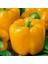 Sarı Biber Tohumu Golden California Wonder Bell Pepper 1