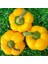 Sarı Biber Tohumu Golden California Wonder Bell Pepper 2