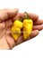 Limon Habanero Biber Tohumu Çok Acı 1