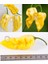 Limon Habanero Biber Tohumu Çok Acı 4