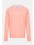 Erkek Pembe Sweatshirt 1