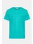 Erkek Petrol Bisiklet Yaka Keten T-Shirt 1