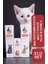 Little Pet 3'lü Set Malt Paste + Multivitamin Paste + Plusb Damla 2