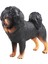 Simülasyon Figürleri Goodie Bag Tibet Mastiff Için Minyatür Oyuncak Koleksiyonları (Yurt Dışından) 3