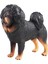 Simülasyon Figürleri Goodie Bag Tibet Mastiff Için Minyatür Oyuncak Koleksiyonları (Yurt Dışından) 5