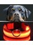 Köpek Tasmaları Led Işık Köpek Tasması Özel Etiketli BuShop Yansıtıcı Kırmızı M 1