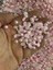 05 mm 20 gr Pembe Inci Yapıştırılabilir Boncuk Dekorasyon Aksesuarı 1