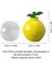 Limon Sarısı 1 Pc Yaratıcı Buz Topu Kalıp Soğutma Kokteyl Kalıp Viski Küresel Buz Küpü Ampuller Ev Yapımı Buz Küpü Yapımı Artefakt (Yurt Dışından) 1