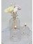 2li Vanilya Sandal Kokulu Oval Kristal Cam Şişe Kandil Seti ( 2X100 Ml) 4