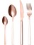 Rosegold 1 Takım Siyah Çatal Bıçak Kaşık Seti Paslanmaz Çelik Çatal Kaşık Bıçak Seti Yemek Takımı Seti Kaşık Komple Sofra Seti Çevre Dostu (Yurt Dışından) 1