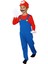 Süper Mario 2 2