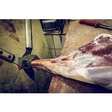 Löwe 22.150 Serisi Özel Seri Avcı Makası
