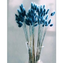 Hidden Botanics Kuru Çiçek Pamuk Otu Petrol Mavisi 30 Dal Mavi Pamuk Otu