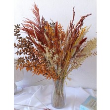 Hidden Botanics Kuru Çiçek Vazo Çiçeğ