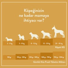 Kito Fresh Hindi Etli Taze Köpek Yemeği