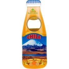 Dünyadan Hediyeler Şili Temalı Magnet Şişe Açacak