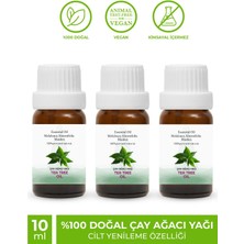 Proclis Çay Ağacı Yağ, Uçucu Yağ, Tea Tree Oil, 3'lü Set 3X10 ml