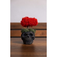 Mossier Skull Moss Heykel