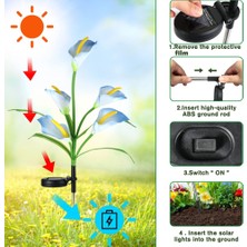 Yiqln Adet Solar Calla Lilyum Fener-5 Kırmızı Calla Lilyum [kutulu] (Yurt Dışından)