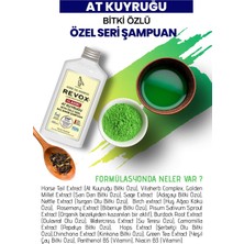 Revox At Kuyruğu Şampuan 400 ml x 2