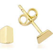 Kairos Jewelry 14 Ayar Altın Mini Geometrik Çivi Küpe
KRS-K60-14GE