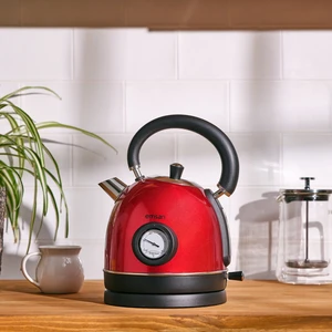 Turtle Kettle Red