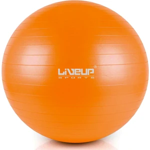 LS3222 65 Cm Pilates Topu + Pompası