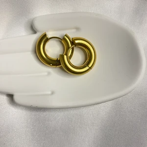 Paradoks Store Kalın Halka Küçük Boy Gold Renk Çelik Küpe