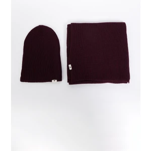 Altınyıldız Classics Erkek Bordo Rüzgar Geçirmez Sıcak Tutan Triko Atkı-Bere Set