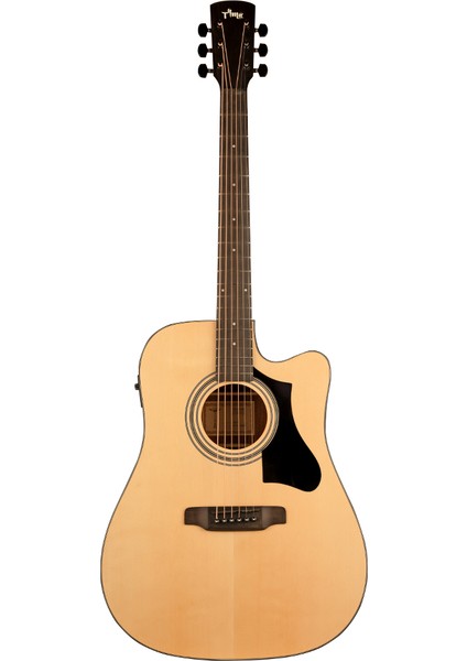 TD-1C Elektro Akustik Gitar