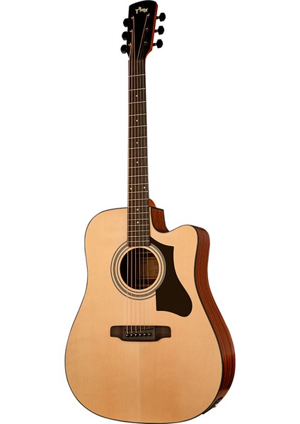 TD-1C Elektro Akustik Gitar