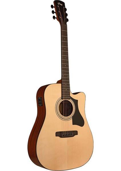 TD-1C Elektro Akustik Gitar