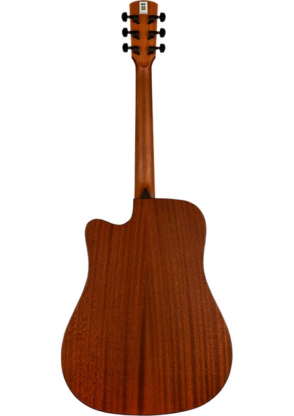 TD-1C Elektro Akustik Gitar