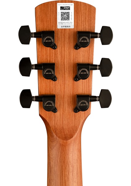 TD-1C Elektro Akustik Gitar